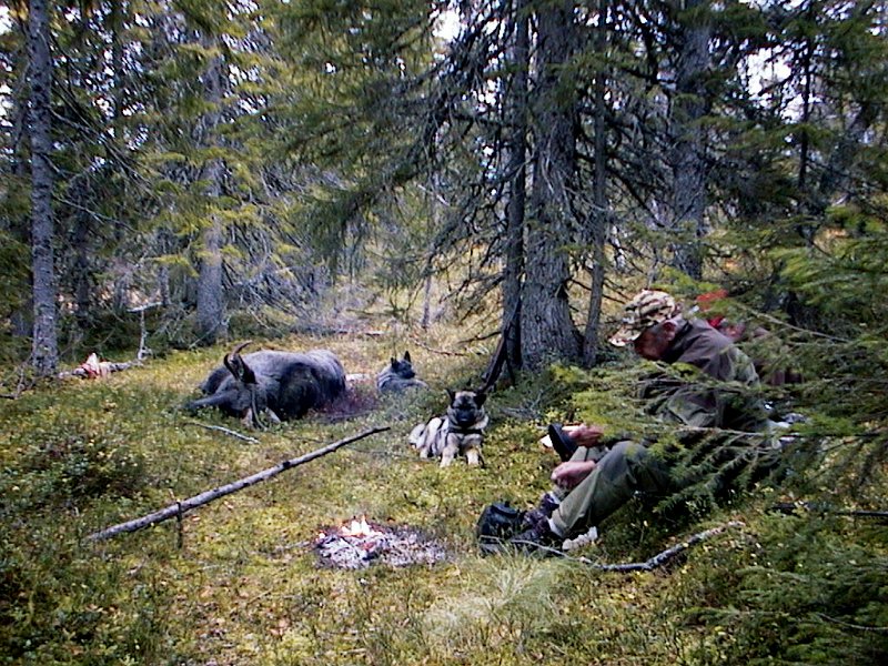 2000 Kneoksen Stakkjolen_1.jpg - Gunnar med kaffekoppen. Kneoksen i bakgrunnen